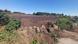 오일장신문닷컴