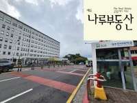 제주나루공인중개사사무소