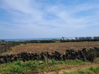 제원부동산중개