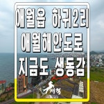 ㈜개척부동산중개법인