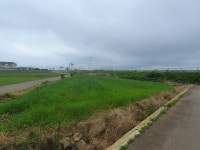 오일장신문닷컴