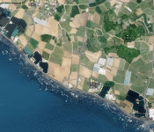 오일장신문닷컴