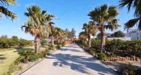 송지부동산중개법인