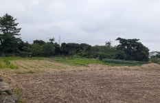 제주송지공인중개사사무소