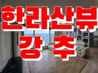 삼화제주공인중개사사무소