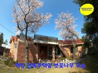 오일장신문닷컴