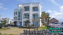 제주뉴스타부동산