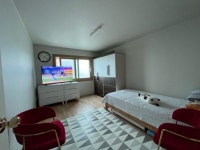 오일장신문닷컴