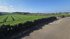 황금정원부동산중개