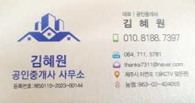 김혜원공인중개사