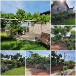 오일장신문닷컴