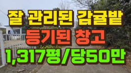 제주OK공인중개사사무소