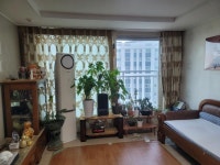 자연공인중개사