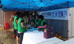 갤러리 - 커뮤니티 - 용담1동 - 동 - 제주시 제주시홈페이지