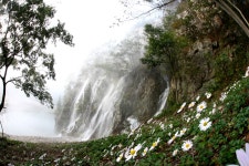 정읍관광 > 관광지 게시판 글보기