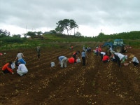 게시물 보기 페이지