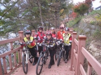 게시물 보기 페이지