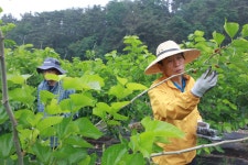 게시물 보기 페이지