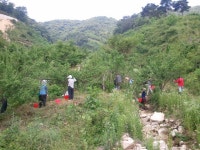 게시물 보기 페이지