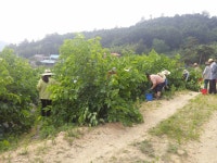 게시물 보기 페이지