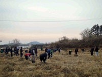 게시물 보기 페이지