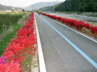 게시물 보기 페이지