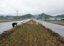 게시물 보기 페이지