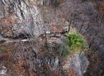 게시물 보기 페이지