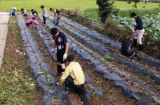 게시물 보기 페이지