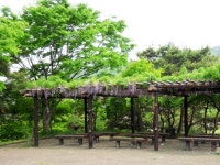 정읍BRAND > 정읍사예술회관 > 열린광장 > 사진자료실 게시판 글보기