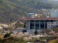 정읍BRAND > 정읍사예술회관 > 열린광장 > 사진자료실 게시판 글보기