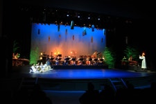 정읍BRAND > 정읍사예술회관 > 열린광장 > 사진자료실 게시판 글보기