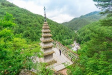 정선 사진 여행 목록 | 정선관광 > 여행정보 > 정선 사진 여행