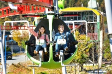 정선 사진 여행 목록 | 정선관광 > 여행정보 > 정선 사진 여행