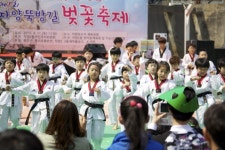  광진구 ‘제2회 자양뚝방길 봄꽃축제’ 개최 - 전국매일신문  광진구 ‘제2회 자양뚝방길 봄꽃축제’ 개최