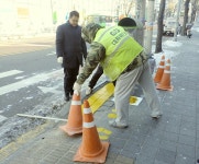  강북구 구본승 의원 제안, 초등학교 통학로 횡단보도 노란발자국 설치완료 - 전국매일신문  강북구 구본승 의원 제안, 초등학교 통학로 횡단보도... 