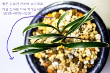 명명품장터