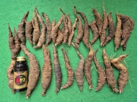 즐난 직거래장터