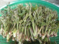 즐난 직거래장터