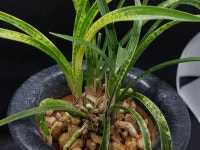 즐난 직거래장터