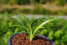 즐난 직거래장터