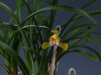 즐난 직거래장터