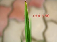 즐난 직거래장터