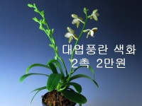 즐난 직거래장터