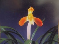 즐난 직거래장터