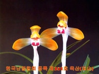 즐난 직거래장터