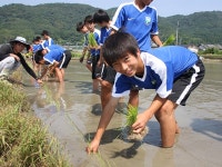田植え体験　～JFAアカデミー熊本宇城 ダイアリー～ | JFA｜公益財団法人日本サッカー協会 田植え体験　～JFAアカデミー熊本宇城... 