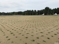 ポット苗 生育状況｜JFA夢フィールド｜JFA.jp ポット苗生育状況｜JFA夢フィールド｜JFA.jp