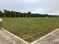 ポット苗 生育状況｜JFA夢フィールド｜JFA.jp ポット苗生育状況｜JFA夢フィールド｜JFA.jp