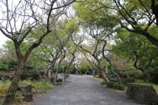 JIBS | 사진방 금요초대석!  순살탱의 저자 김주란씨와 함께 새로운 가족에 관한 얘기를 나누다 